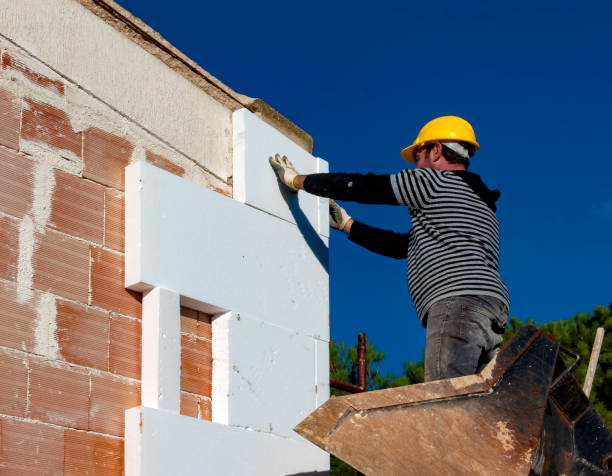Best Cellulose Insulation in Camp Croft, SC
