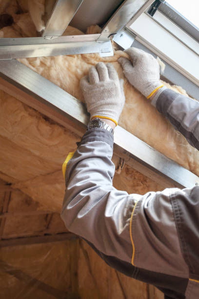 Best Insulation Maintenance and Repair in Camp Croft, SC